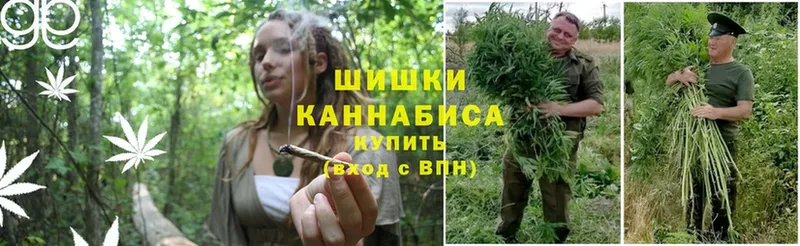 где можно купить наркотик  Бийск  Конопля Bruce Banner 